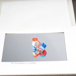 DSC00798