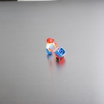 DSC00818