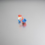 DSC00821